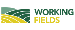 Working Fields
